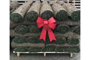 Season’s Greetings from Summerhill Lawns