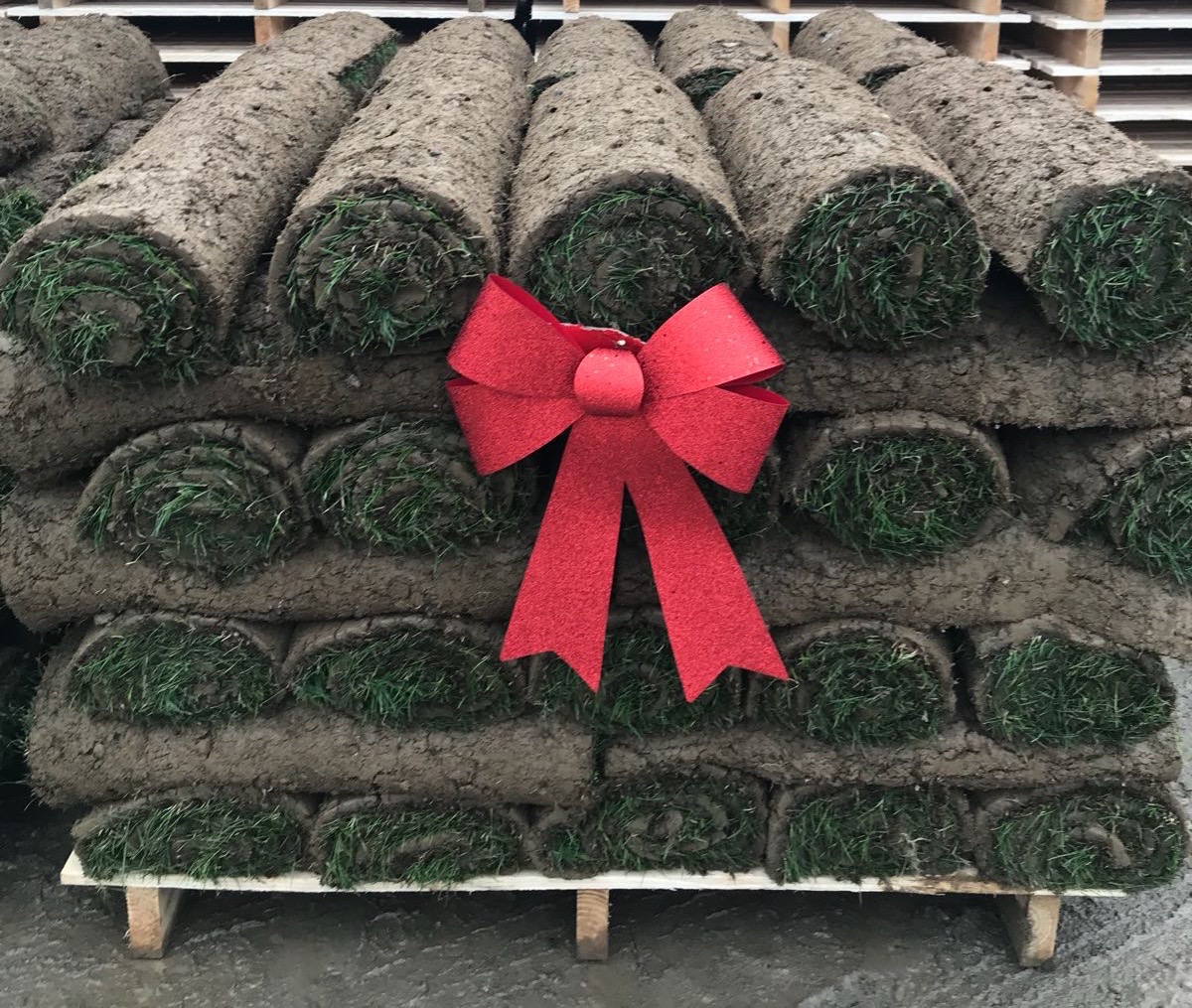 Season’s Greetings from Summerhill Lawns