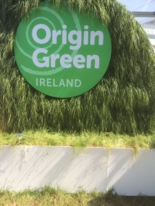 How we made an instant meadow for Bord Bia and Origin Green