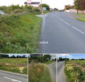 Summerhill Lawns wildflower turf transforms road verge