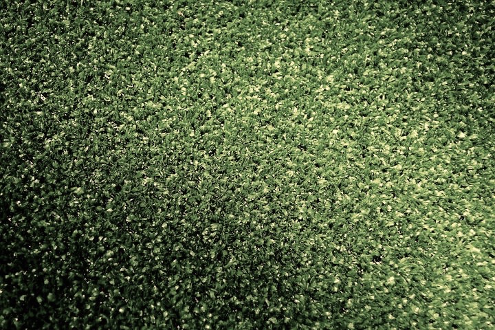 Artificial lawns – the pros and cons