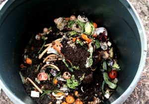 Composting your waste