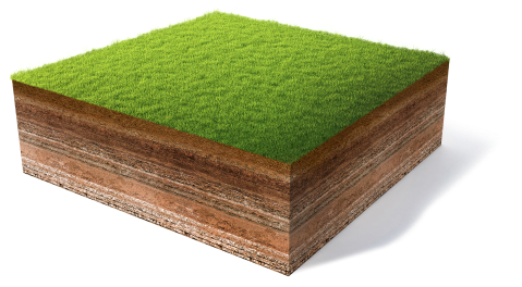 How To Measure My Lawn